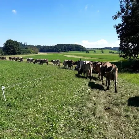 Apartment Stiller Bach Schlier