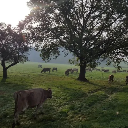 Apartment Stiller Bach