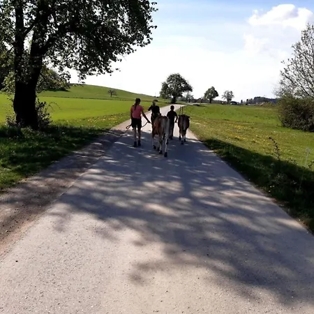 Stiller Bach Apartment Schlier