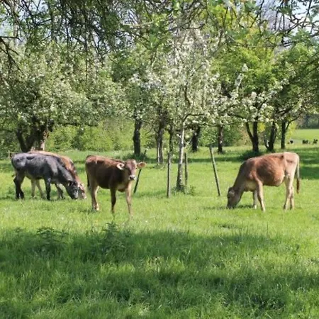 Stiller Bach Schlier